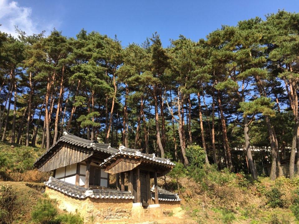 Korean Traditional House - Chungnokdang Hotel Boseong Exterior foto